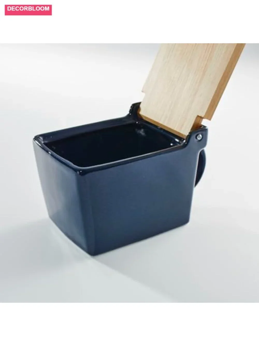 Japanese Ceramic Salt Cellar with Hinoki Wood Lid, 16 oz, Kitchen Storage